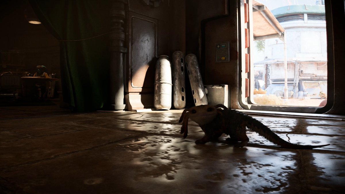 Alexander Battaglia tweet media