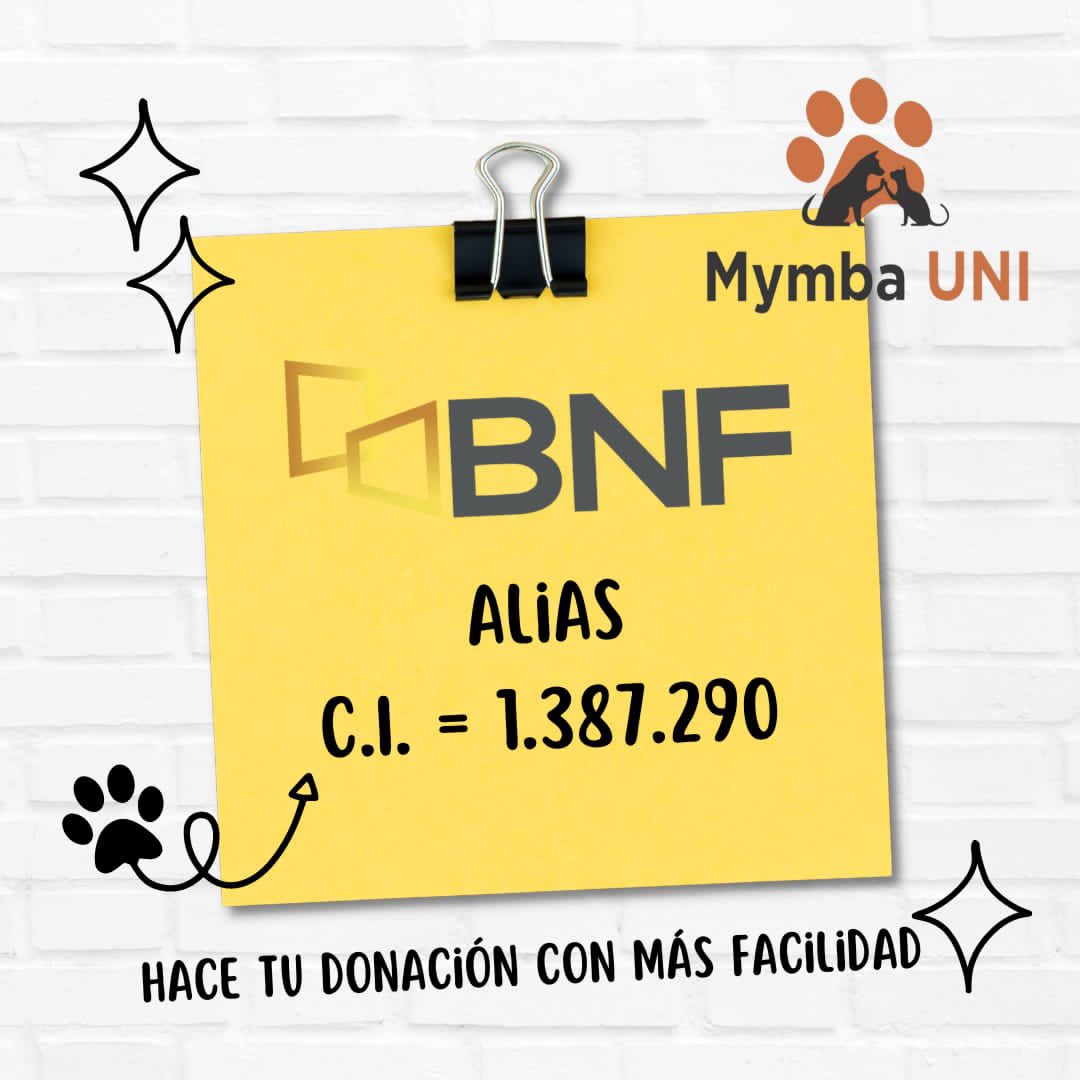 MymbaUni's tweet photo. A tener en cuenta 🐾 https://t.co/QtezADVTDL