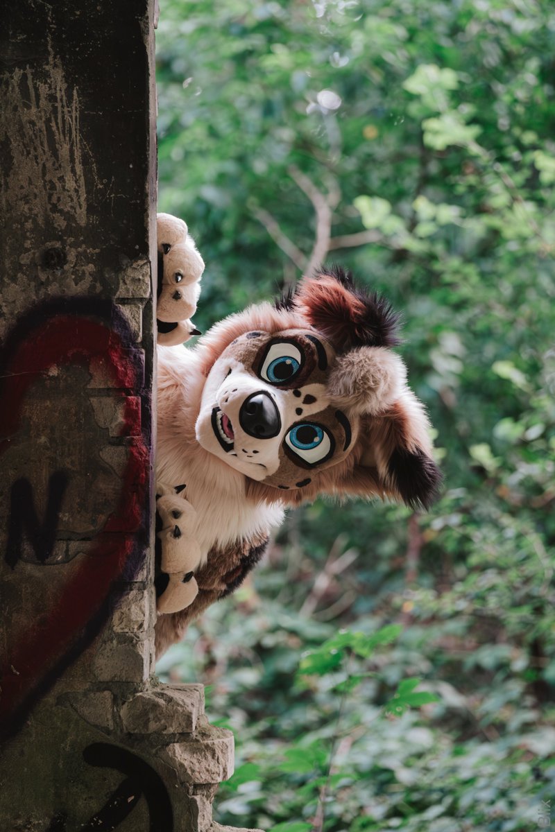 Sorry to interrupt your timeline, but have you seen my tennis ball 🎾 anywhere?

🧵 <a href="/AlphaDogsStudio/">Alpha Dogs</a>
📷 <a href="/SDoggo97/">Lenny the Shepdoggo🐾➡️EF29</a>

#fursuit #furry #FursuitFriday