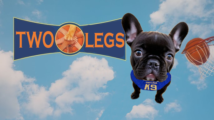 2LEGSonSol's tweet image. $2LEGS will win the game.