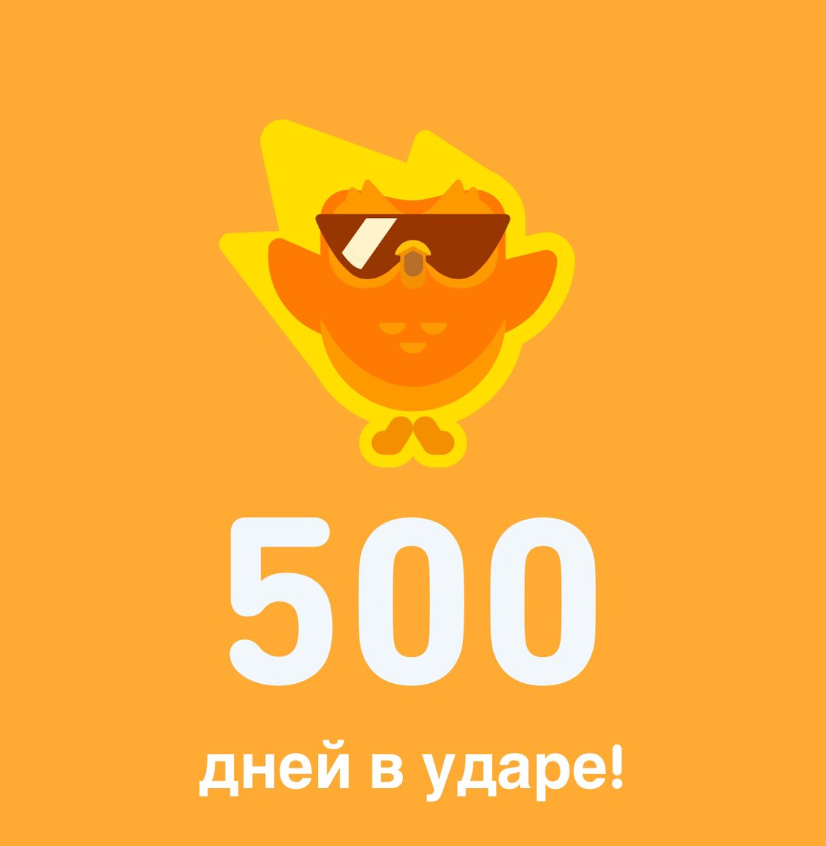 500 дней совы.