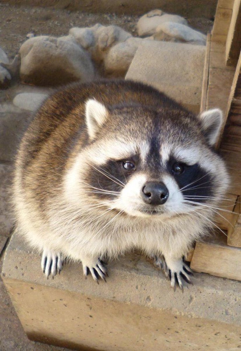 Annie. This seems more like me