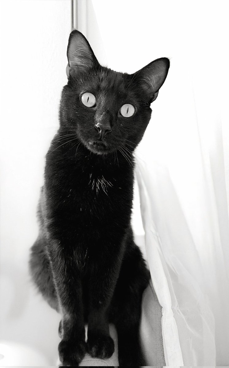 Dany_Vert 🐋 tweet media