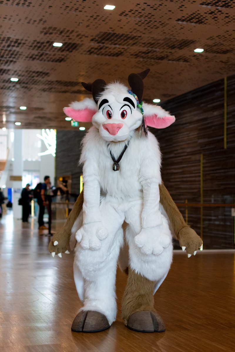 määh, come here 
🪡 <a href="/MoreFurLess/">More Fur Less</a>