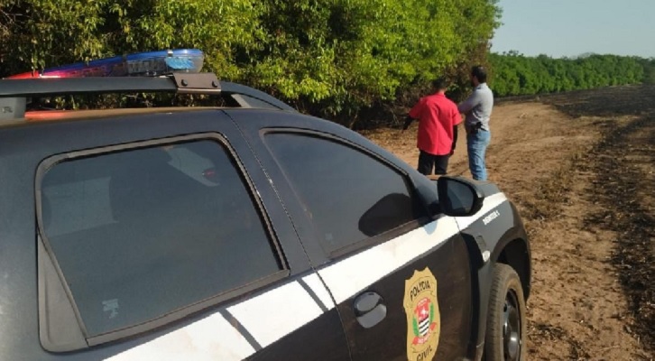 Homem é preso em flagrante por incendiar plantação de cana em Pindorama sbtinterior.com/noticia/homem-…