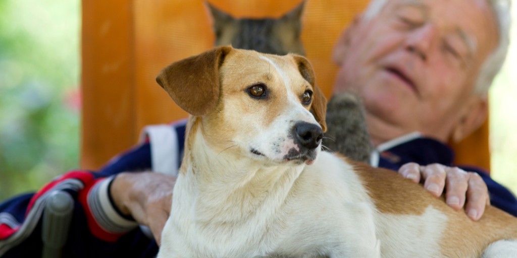 BC30Probiotic tweet media