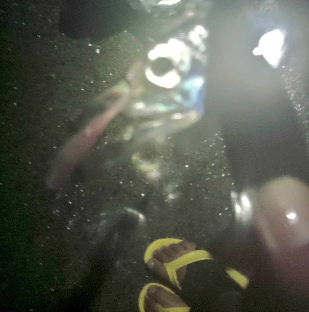 KRO_THE_BQO's tweet photo. 今宵の雨中戦争は微風、ベタ凪、どちゃ濁り。雨の恩恵でタチウヲうじゃうじゃ。
エステルタックルだとアンダーF3でもたのしいたのしい🤗
ゼイゴー&ベイティで水面直下を巻いて止めてずどん♡スマホのレンズが水びたしで画像が上手く撮れんwww
#INX_label
#ゼイゴー
#ベイティ https://t.co/WLKX3pXhgW