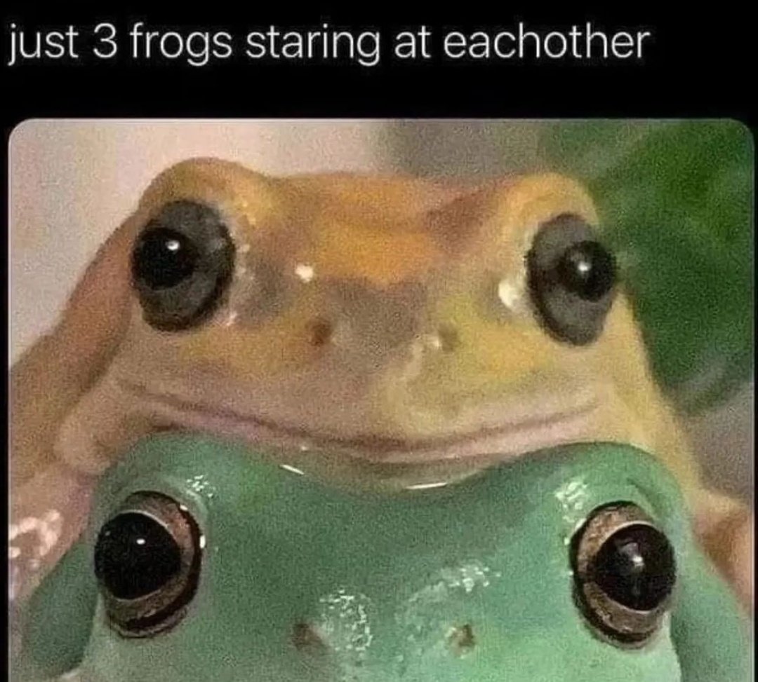 nocontextfrogs's tweet photo. https://t.co/WsfsUU8kza