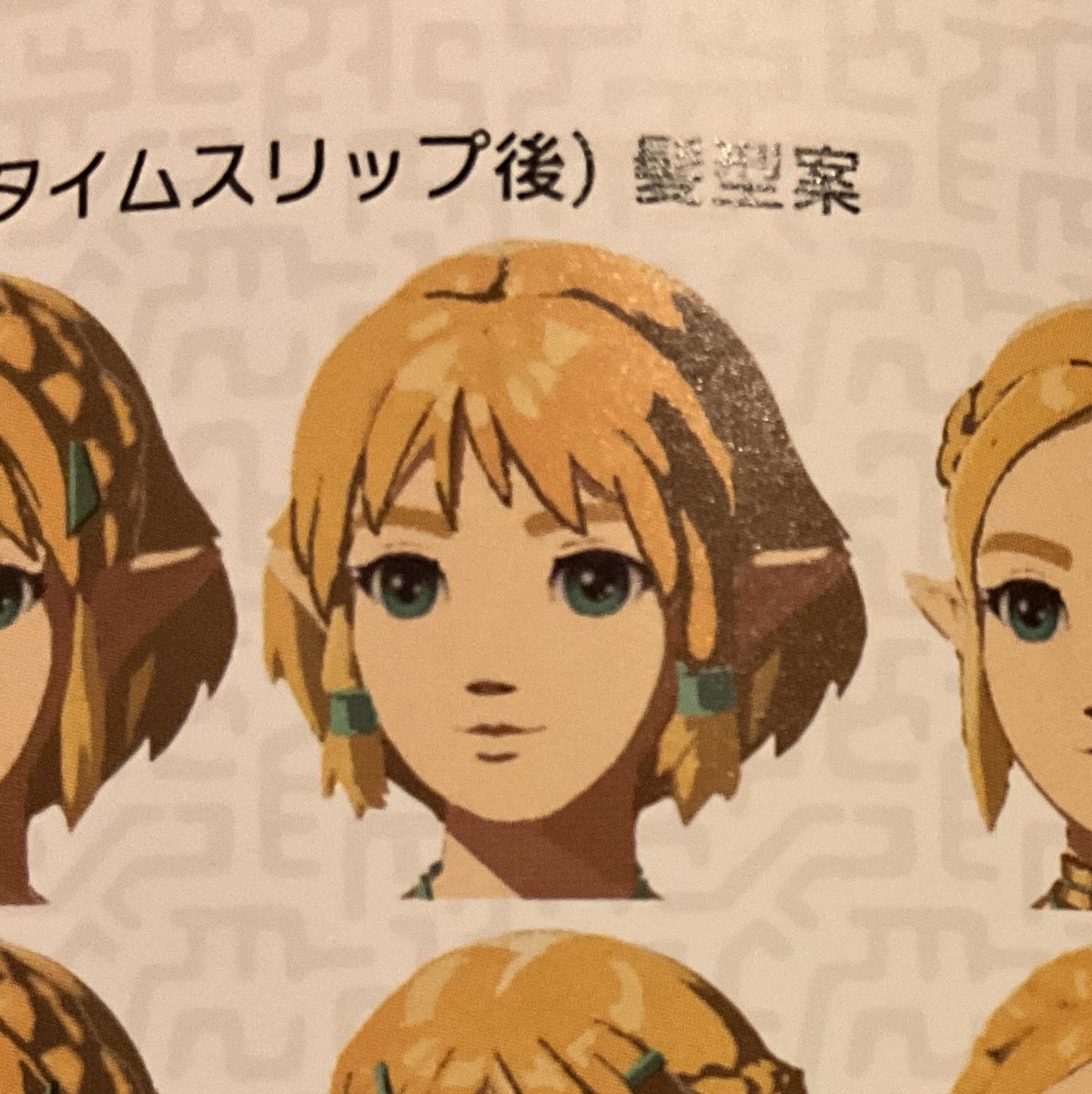ゼルダの伝説 ティアーズ 有り難う オブ ザ キングダム マスター