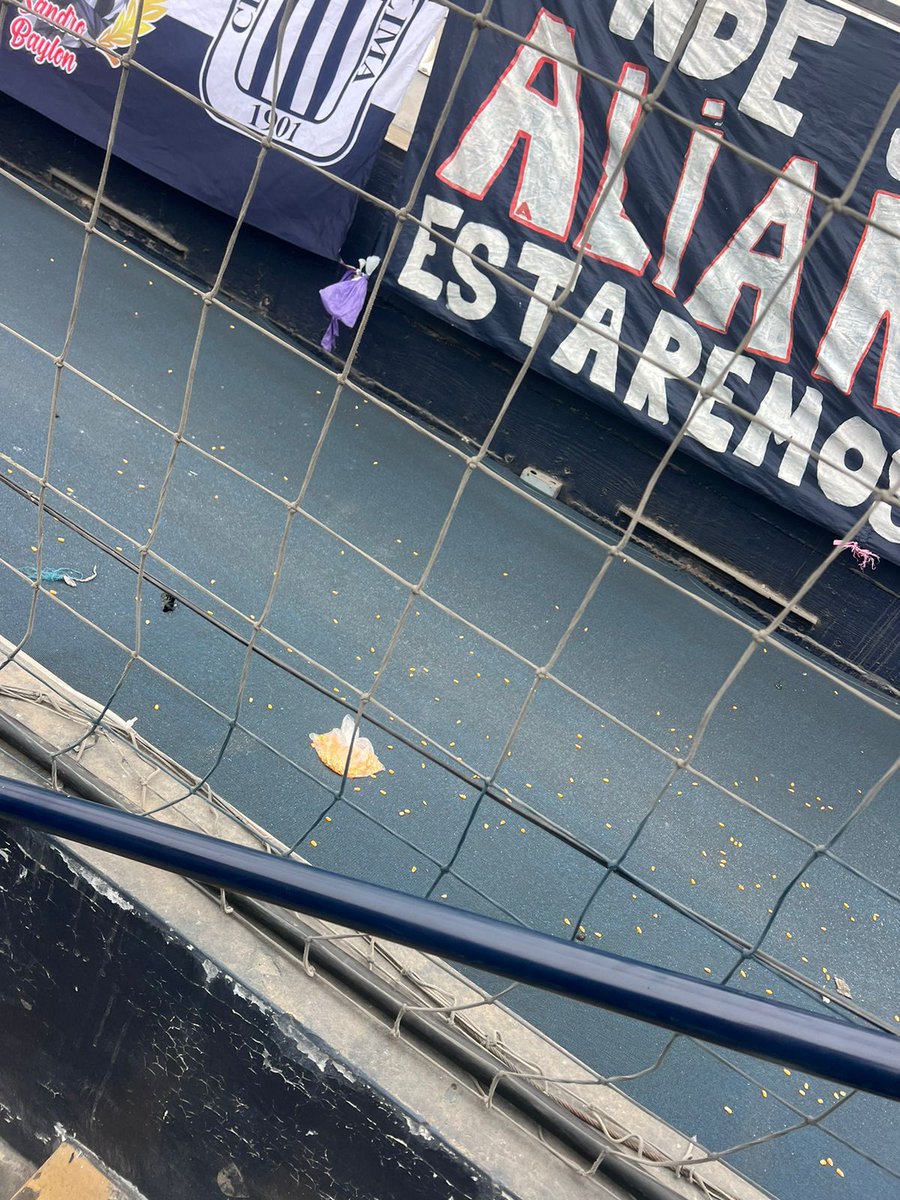 Vengadorcremaa's tweet photo. Delegación de @FutFemeninoU  atacada por hinchas de alianza lima. ¿No se supone que el estadio debería ser un lugar seguro? Inaceptable y vergonzoso. #NoAlViolencia" https://t.co/CDQRoFQLMO