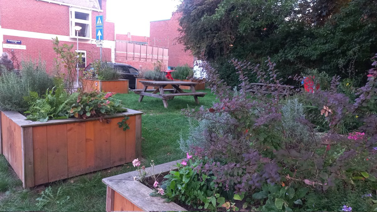 Frans Kerver tweet media