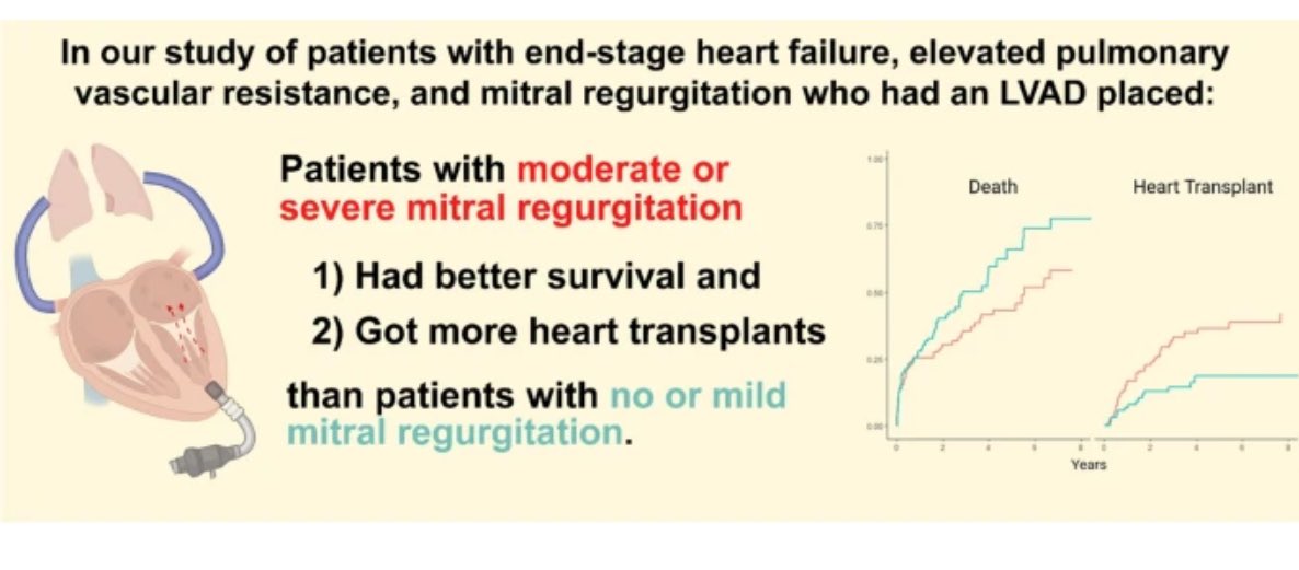 Srikanth Koneru (@koneru_s) on Twitter photo Just published from our group <a href="/BCMAdvStrlHeart/">Baylor Med Adv Heart Failure & Structural Heart</a> <a href="/Texas_Heart/">The Texas Heart Institute</a> <a href="/BCM_CVRI/">BCM_CVRI</a> LVAD recipients with elevated preoperative PVR, those with mod/severe MR had better overall survival and higher transplant rates than those with mild/no MR. <a href="/CBallantyneMD/">Christie Ballantyne</a> <a href="/ajith1230/">Ajith Nair</a> Just published from our group <a href="/BCMAdvStrlHeart/">Baylor Med Adv Heart Failure & Structural Heart</a> <a href="/Texas_Heart/">The Texas Heart Institute</a> <a href="/BCM_CVRI/">BCM_CVRI</a> LVAD recipients with elevated preoperative PVR, those with mod/severe MR had better overall survival and higher transplant rates than those with mild/no MR. <a href="/CBallantyneMD/">Christie Ballantyne</a> <a href="/ajith1230/">Ajith Nair</a>