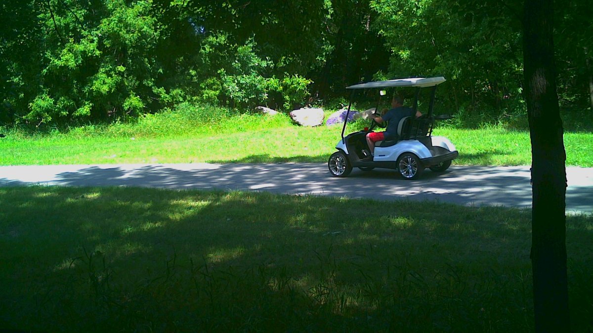 Greenway GGF tweet media