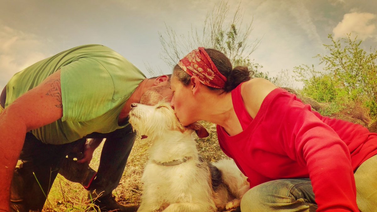 Luke and Sarah's Off-grid life tweet media