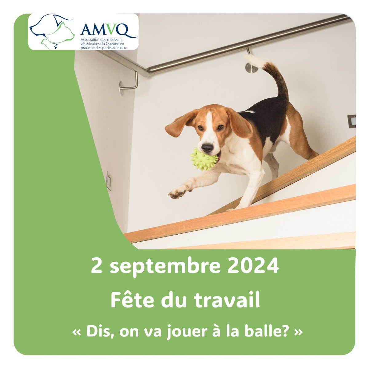Nous vous souhaitons une merveilleuse fête du travail! #amvq #fetedutravail
