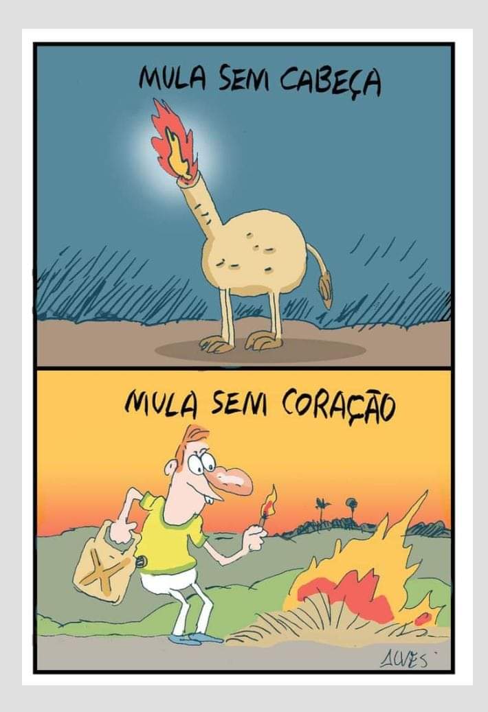 Mario Lago Filho tweet media