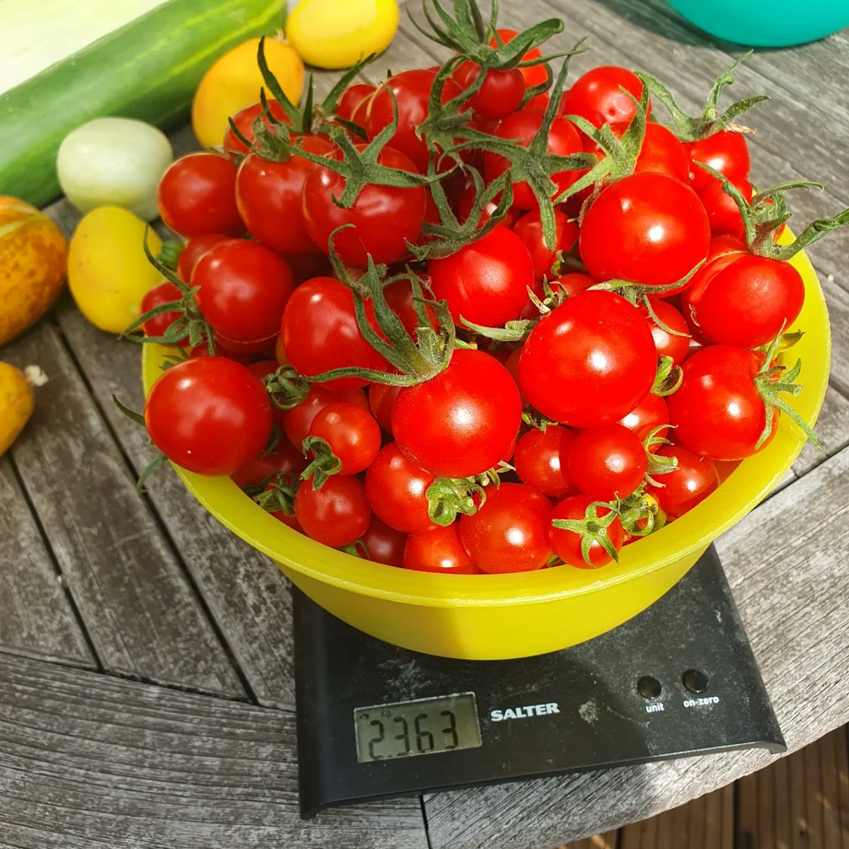 Sherry Coenen tweet media