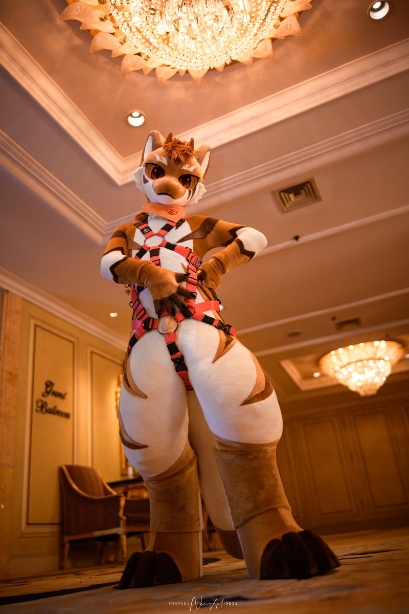 烧起来了
#FursuitFriday