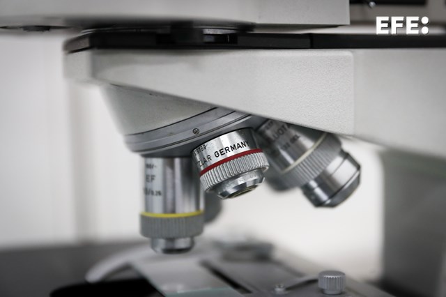 EFE Noticias tweet media