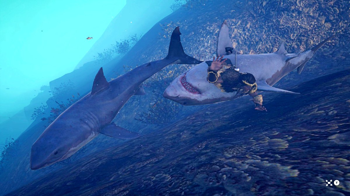 13brevkasse's tweet photo. #Sharks #Grækenland @MDangerously #AssassinsCreedOdyssey #VPRT #Haj #XboxSeries @DEX_exiled #Greece #VGPNetwork #Kassandra #PS4Share #Odyssey @PodToGo #Hval #Playstation #AssassinsCreed #Soldier @poci82 #Whale #ThePhotoMode #Poseidon https://t.co/ICyzDrTC4u