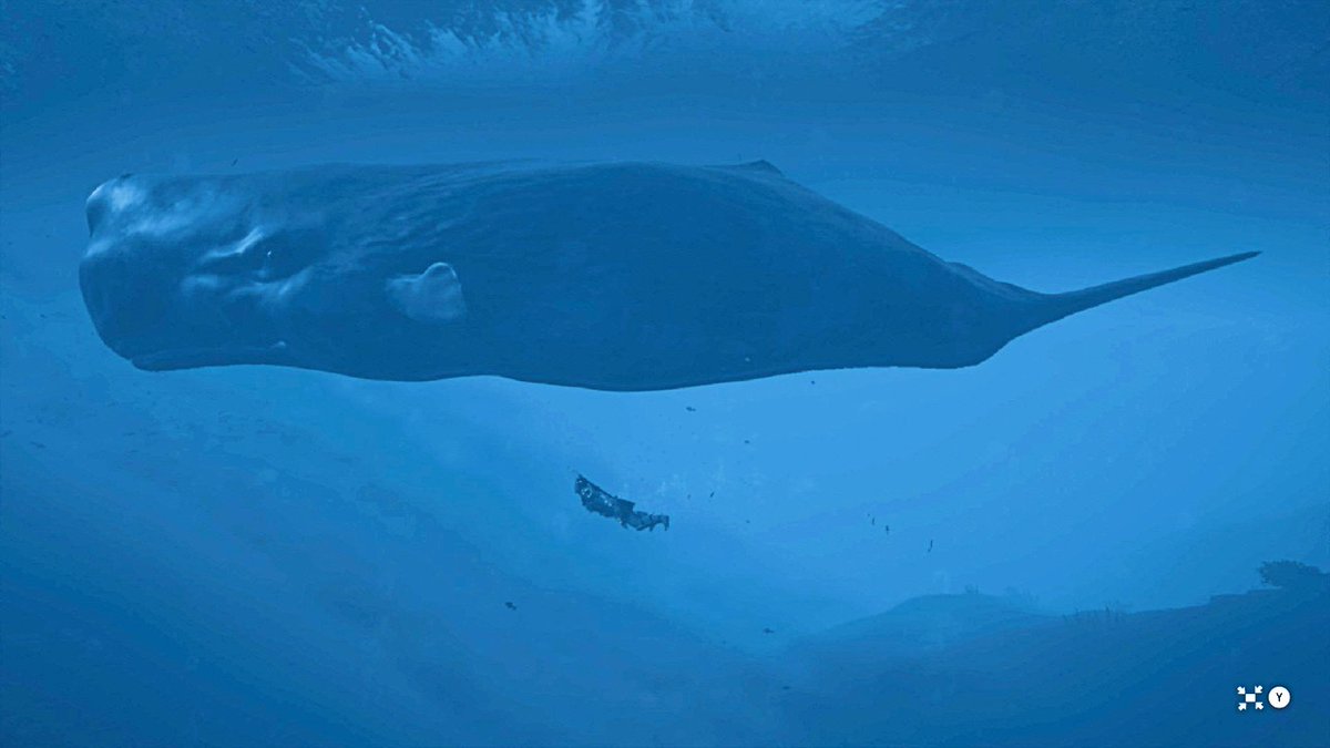 13brevkasse's tweet photo. #Sharks #Grækenland @MDangerously #AssassinsCreedOdyssey #VPRT #Haj #XboxSeries @DEX_exiled #Greece #VGPNetwork #Kassandra #PS4Share #Odyssey @PodToGo #Hval #Playstation #AssassinsCreed #Soldier @poci82 #Whale #ThePhotoMode #Poseidon https://t.co/ICyzDrTC4u