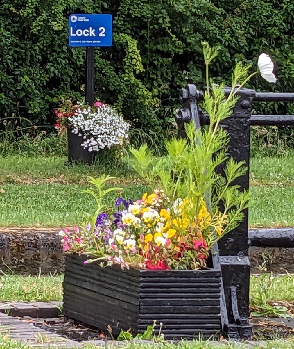 Volunteer LockKeeper tweet media