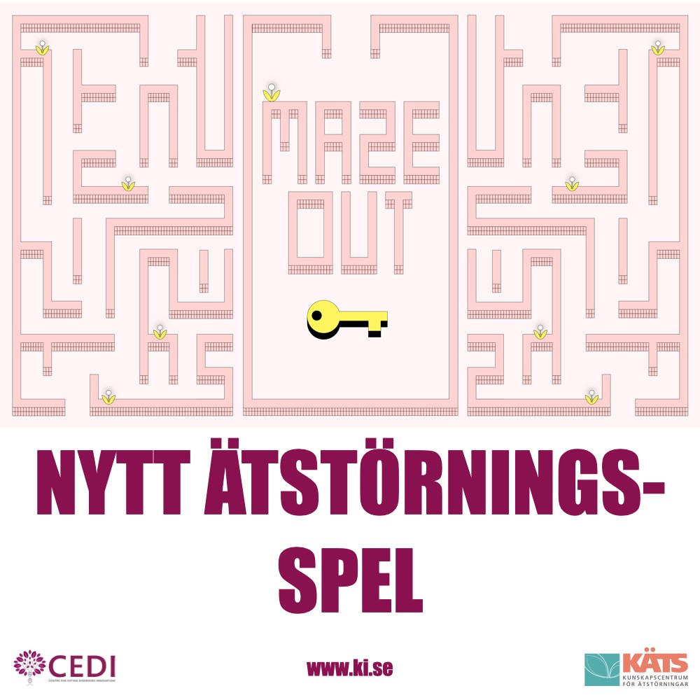 CEDI_KI's tweet image. “Maze Out” is a computer game developed and studied by Maria Mercedes Guala in collaboration with ED patients and their therapists. The game allows patients to “play” with the reality of an ED and reflect on the challenges of getting out of the ED maze. 

portal.findresearcher.sdu.dk/da/publication…