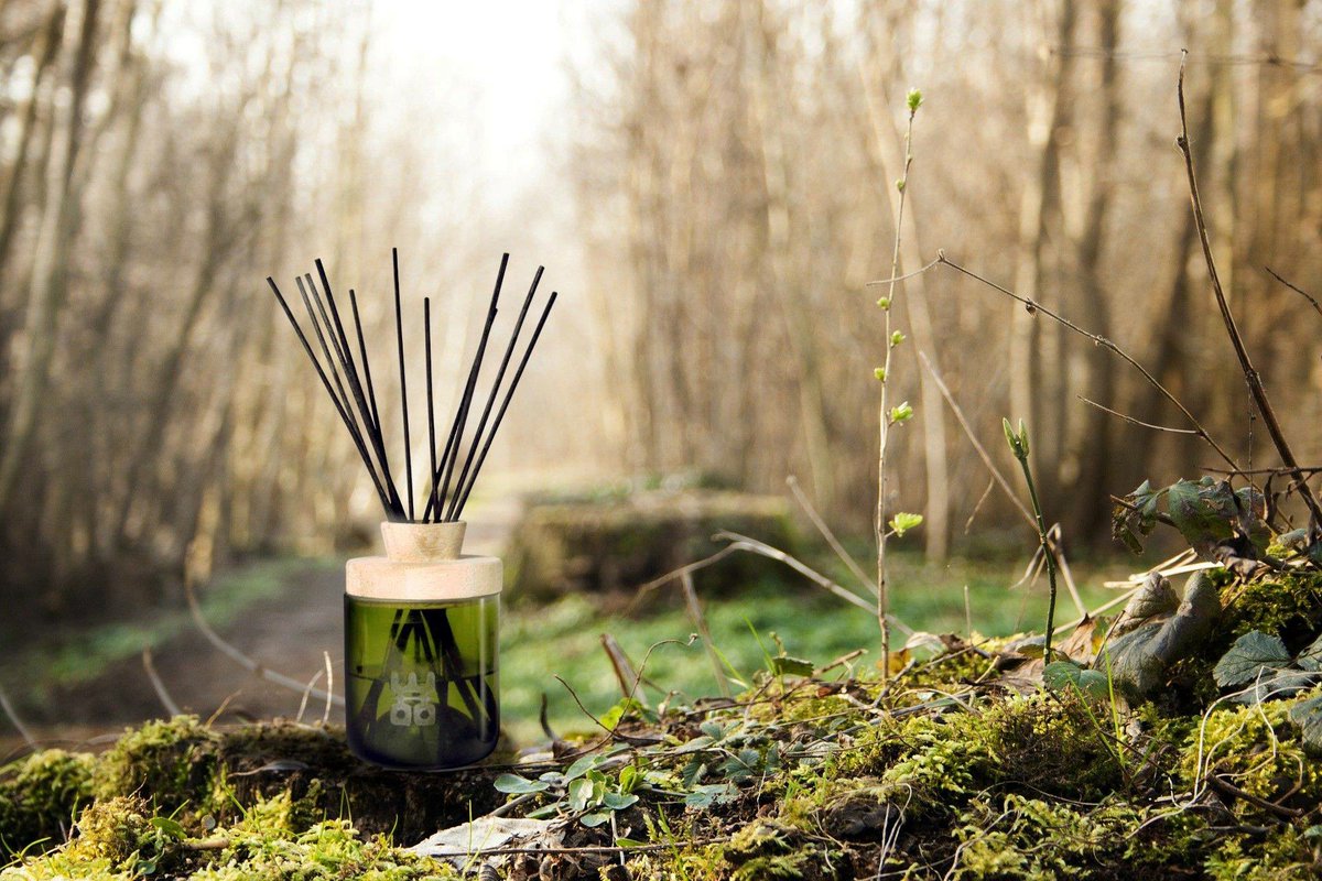 WOO__cares's tweet photo. Be Kind to Nature 🌱⁠
⁠
Nature sustains us. Protect it by reducing waste, planting trees, and respecting wildlife. Small actions, big impact. 🌿
⁠
#outdoorlife #friends #travels #birds #wilderness #exploremore #igtravel #active #mountain #mood #hiking #landscapephotography https://t.co/83RNrp1Z7b
