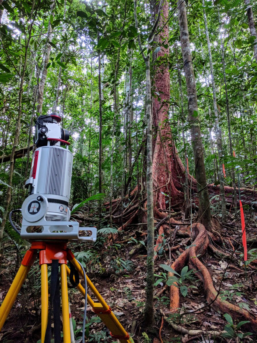 Global Change Biology (@globalchangebio) on Twitter photo New tree height allometries derived from terrestrial laser scanning reveal substantial discrepancies with forest inventory methods in tropical rainforests
๐ onlinelibrary.wiley.com/doi/full/10.11โฆ <a href="/LouiseTerrynn/">Louise Terryn</a> New tree height allometries derived from terrestrial laser scanning reveal substantial discrepancies with forest inventory methods in tropical rainforests
๐ onlinelibrary.wiley.com/doi/full/10.11โฆ <a href="/LouiseTerrynn/">Louise Terryn</a>