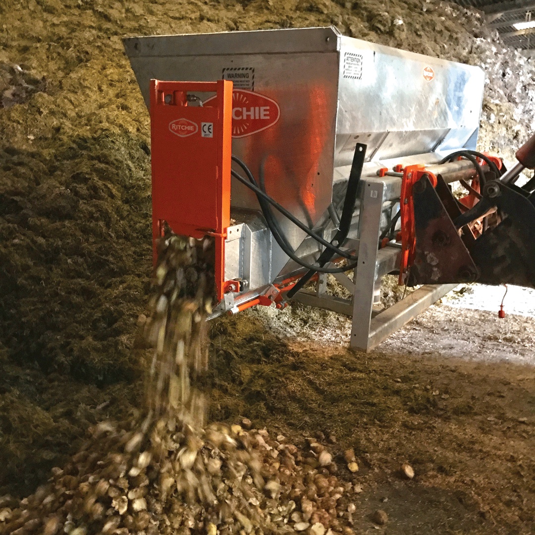 Ritchie Roots &amp; Grain Feeding

Get ready for winter feeding.

For further info visit: ow.ly/PMAk50K8Mqm

#RitchieUK #Roots&amp;GrainFeeding #FarmingUK
