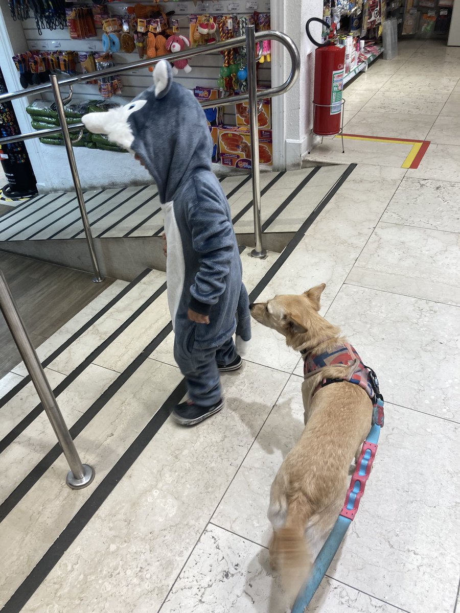 Coraline fez amizade com um cachorro diferente hj…