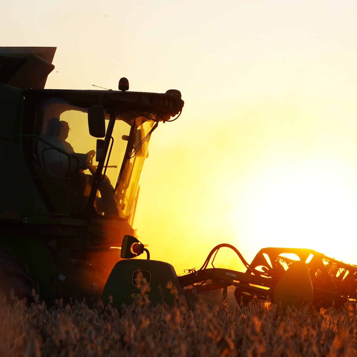 greenpointag's tweet photo. It's that time of year again...long days, orange skies and dinner in a box. We wouldn't trade it for anything! #harvestseason #greenpointag #farming #agriculture #southernfarming https://t.co/rPPX1Ww0X6