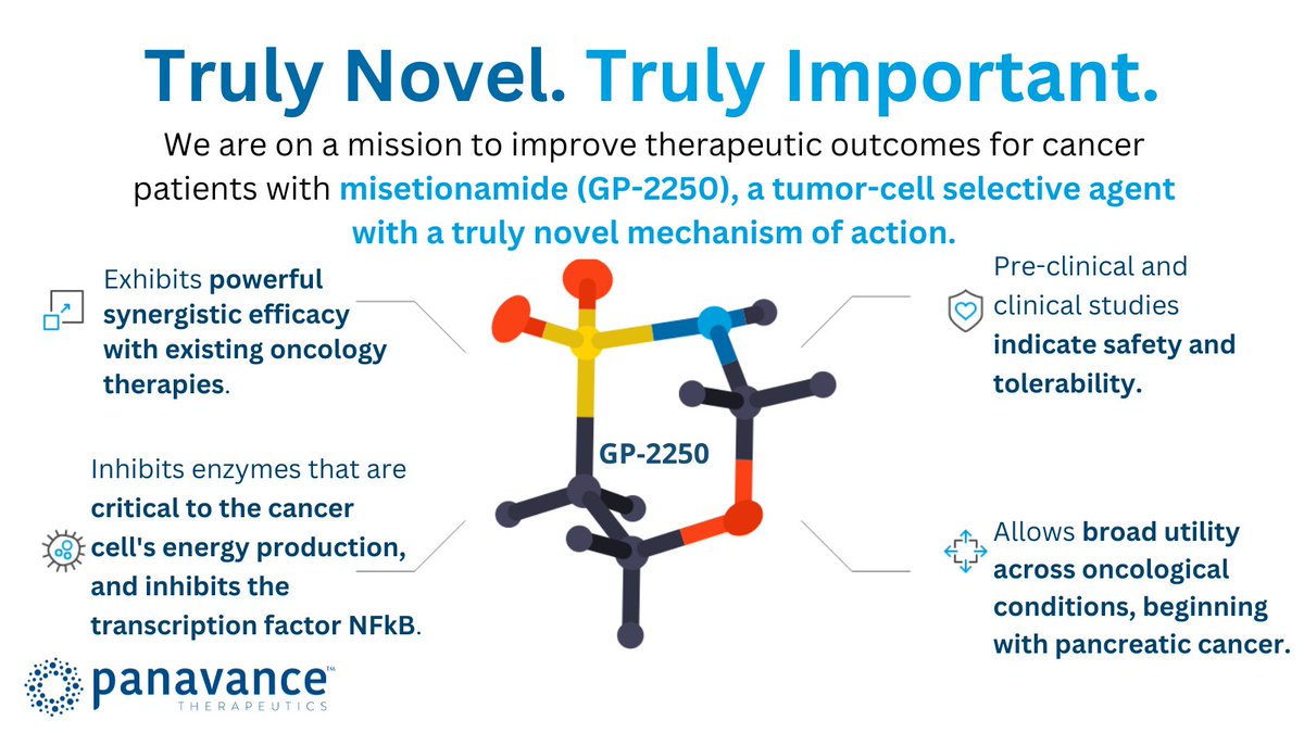 PersevereTx's tweet photo. At Panavance, we focus on what matters most—improving therapeutic outcomes for cancer patients.

Misetionamide (GP-2250), a tumor-cell selective agent, is bringing new hope to the fight against #cancer through novel science. Misetionamide exhibits powerful synergistic activity with existing #oncologytherapies in preclinical studies and demonstrates remarkable safety and tolerability in the ongoing clinical trial.

Like the mechanism of misetionamide, our mission is to disrupt cancer’s energy. Learn more about our clinical-stage drug here. https://t.co/vbvAdI3mYP

#clinicaltrial #oncology #pancsm