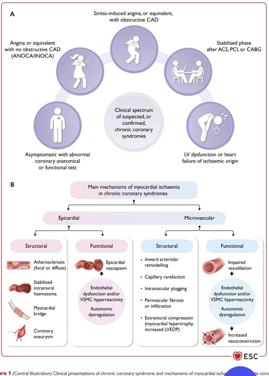 Dr. FEVI🫀🩺 tweet media