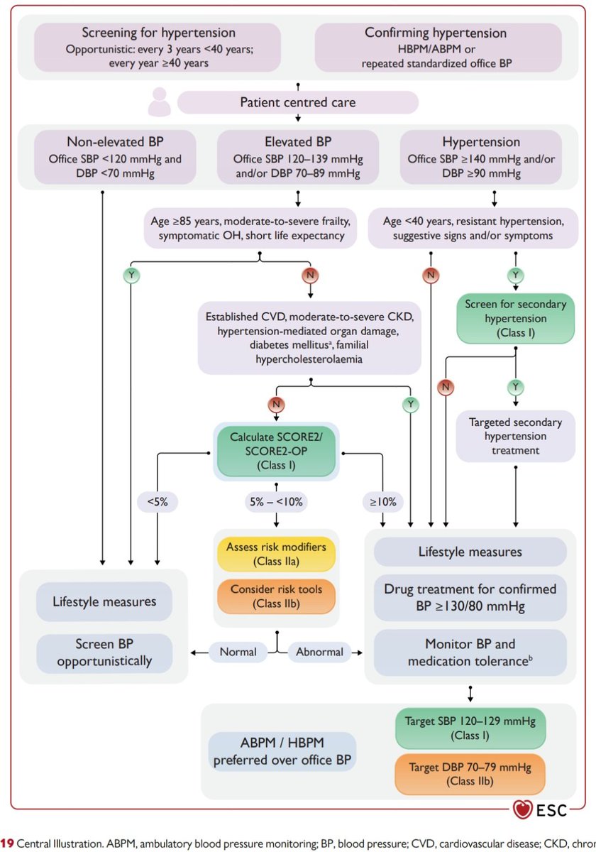 Dr. FEVI🫀🩺 tweet media