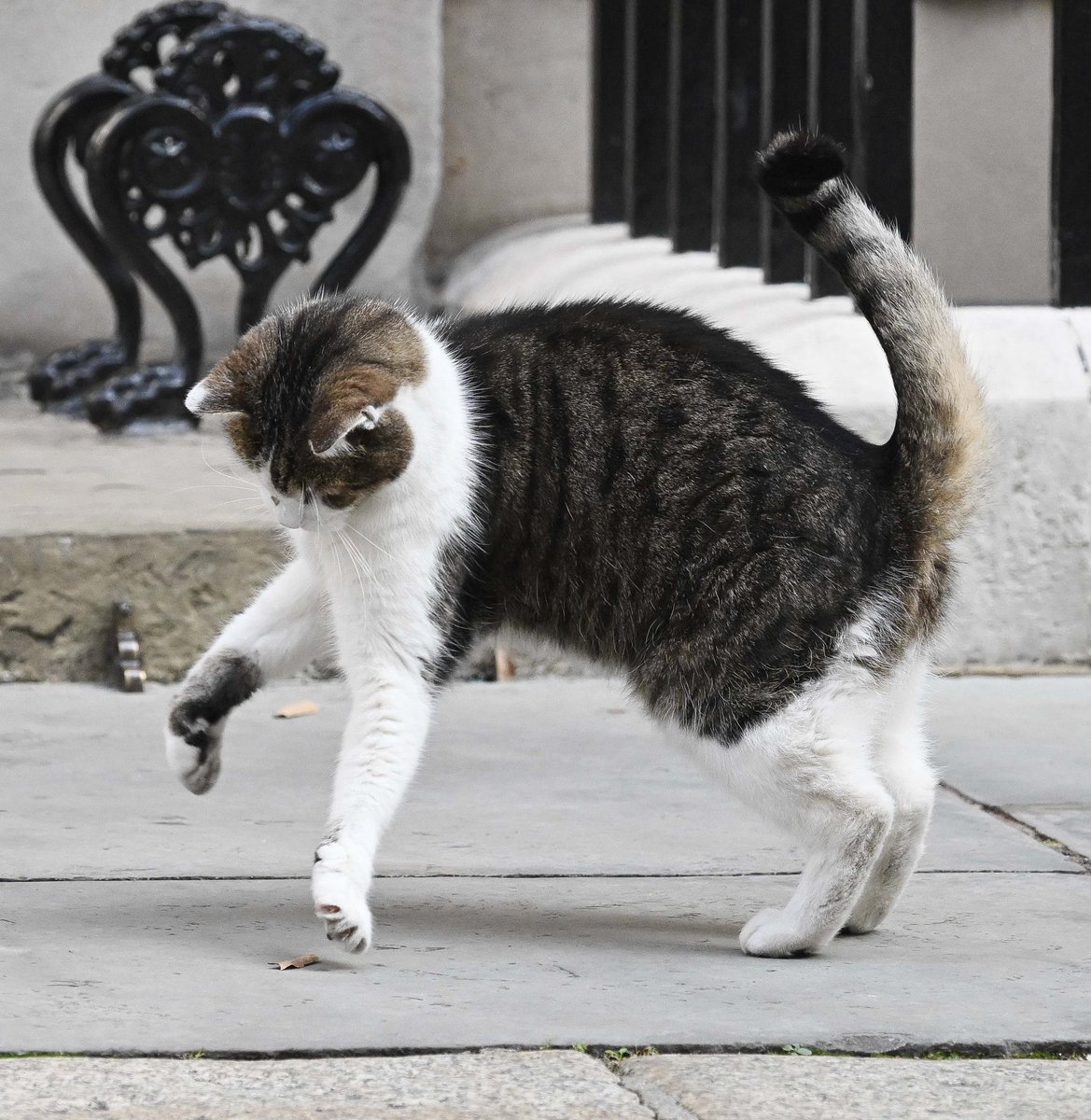 Heading into the weekend with a spring in my step (Photo <a href="/PoliticalPics/">PoliticalPics</a>)