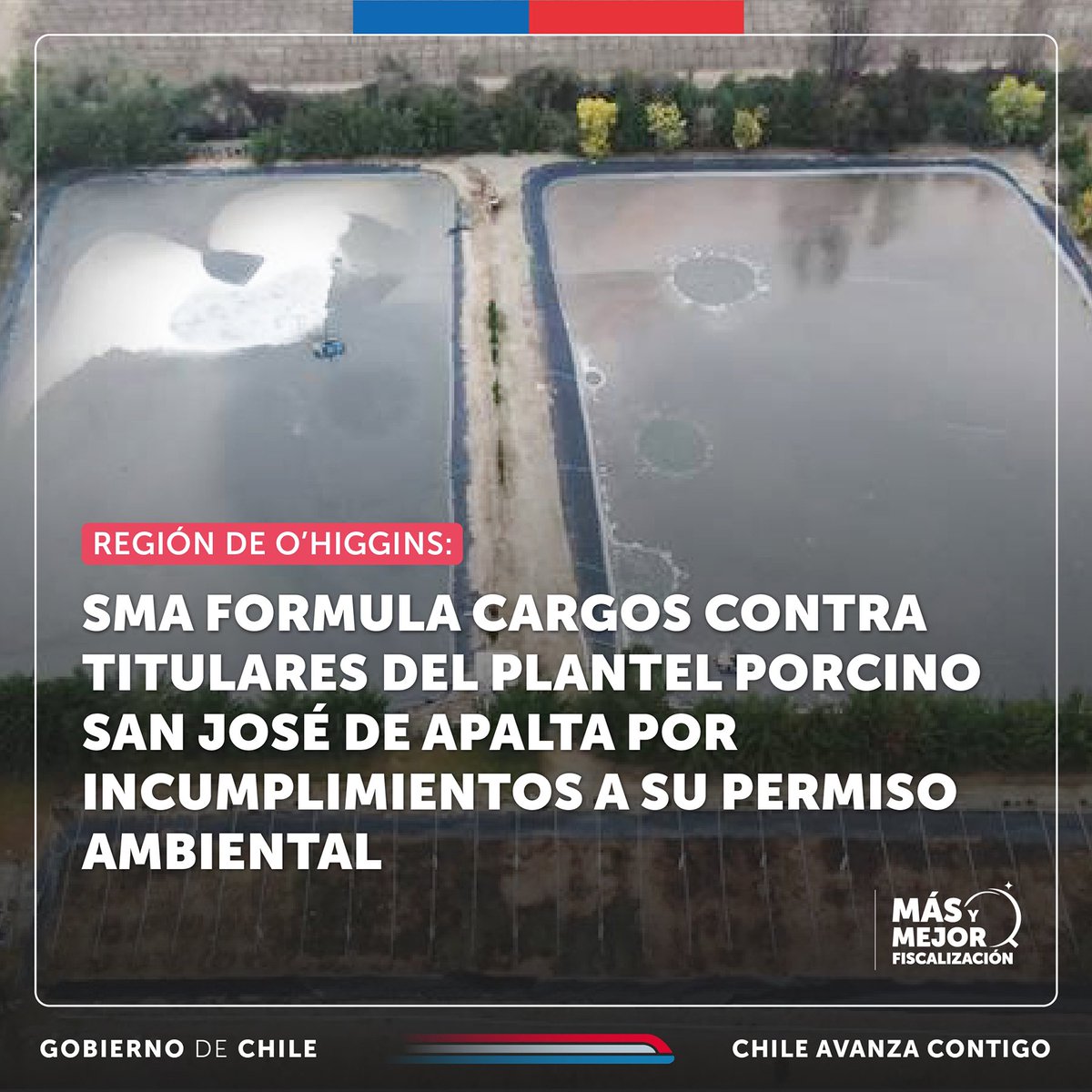 SMA_CL's tweet photo. #SMAteInforma 🌱 | SMA formuló cargos contra titulares del plantel porcino San José de Apalta en la comuna de Rengo, por incumplimientos a su permiso ambiental.
A partir de las fiscalizaciones realizadas, la SMA detectó tres incumplimientos por parte del titular.
👇🏼 https://t.co/RffTrMBNmk