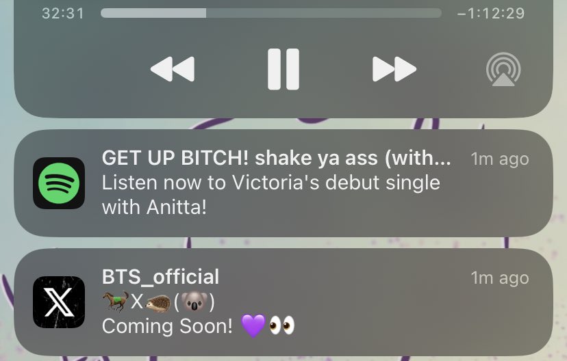 thirdfencepost's tweet image. Not exactly what I was expecting from @SpotifyUSA this morning… glad my daughter can’t read yet