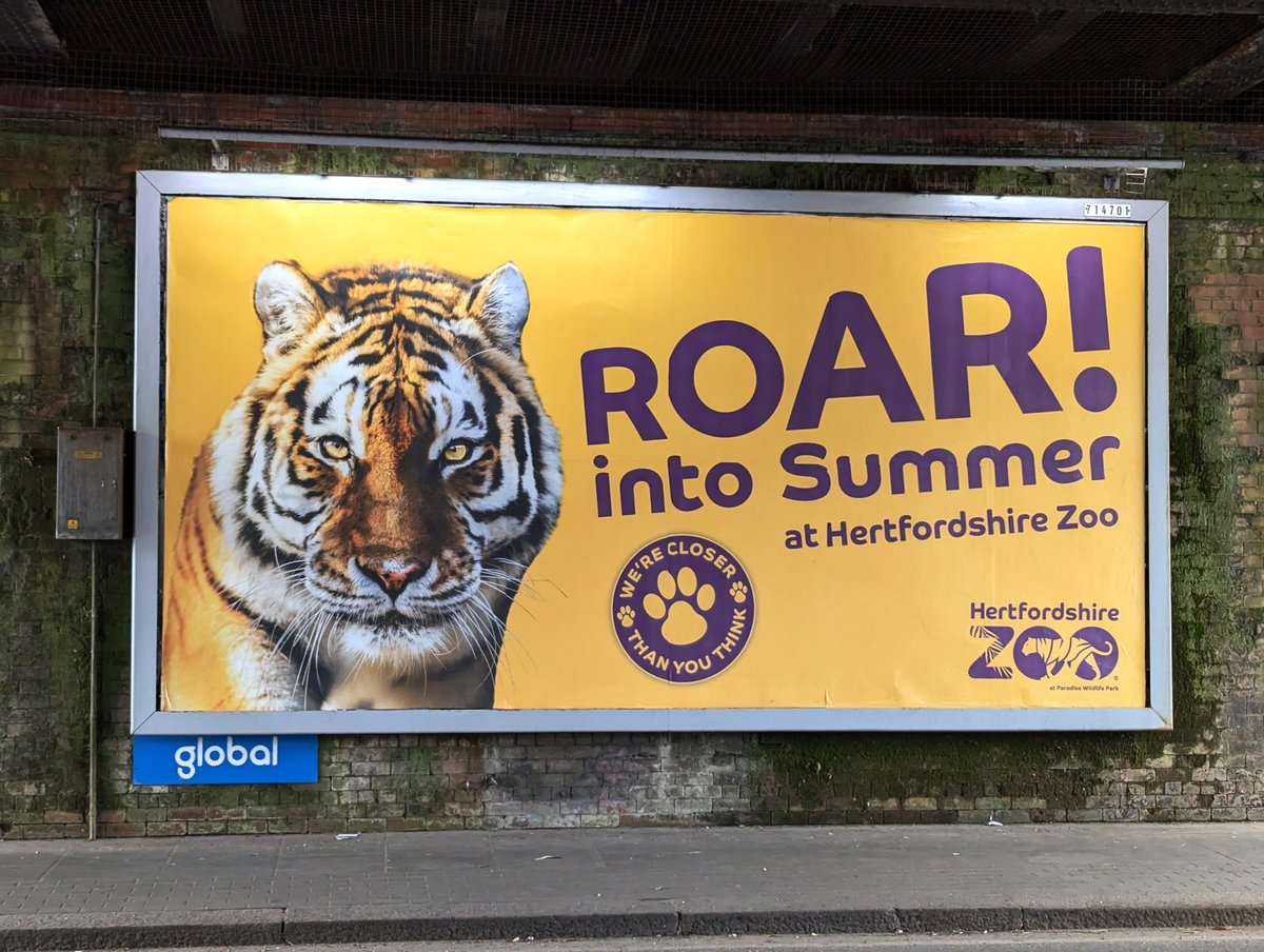 Pixel Advertising (@pixelad2020) on Twitter photo We are over the moon to see this 'Roar into Summer' billboard on display! It was a pleasure working with <a href="/HertsZoo/">Hertfordshire Zoo</a> on this exciting project. Creating artwork that captures these amazing animals, in the spirit of summer, was a rewarding experience. #roarintosummer We are over the moon to see this 'Roar into Summer' billboard on display! It was a pleasure working with <a href="/HertsZoo/">Hertfordshire Zoo</a> on this exciting project. Creating artwork that captures these amazing animals, in the spirit of summer, was a rewarding experience. #roarintosummer