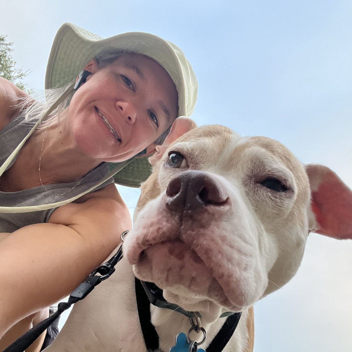 robynrdobbins's tweet photo. Miss thing here has been super jealous & apprehensive about the new puppy situation. She has slept in all week, but today, she was up and ready to walk. Glad to spend some one on one time with her so she knows she’s still loved. My best girl and walking buddy, #DaisyRaven https://t.co/x3uJwbZXUL
