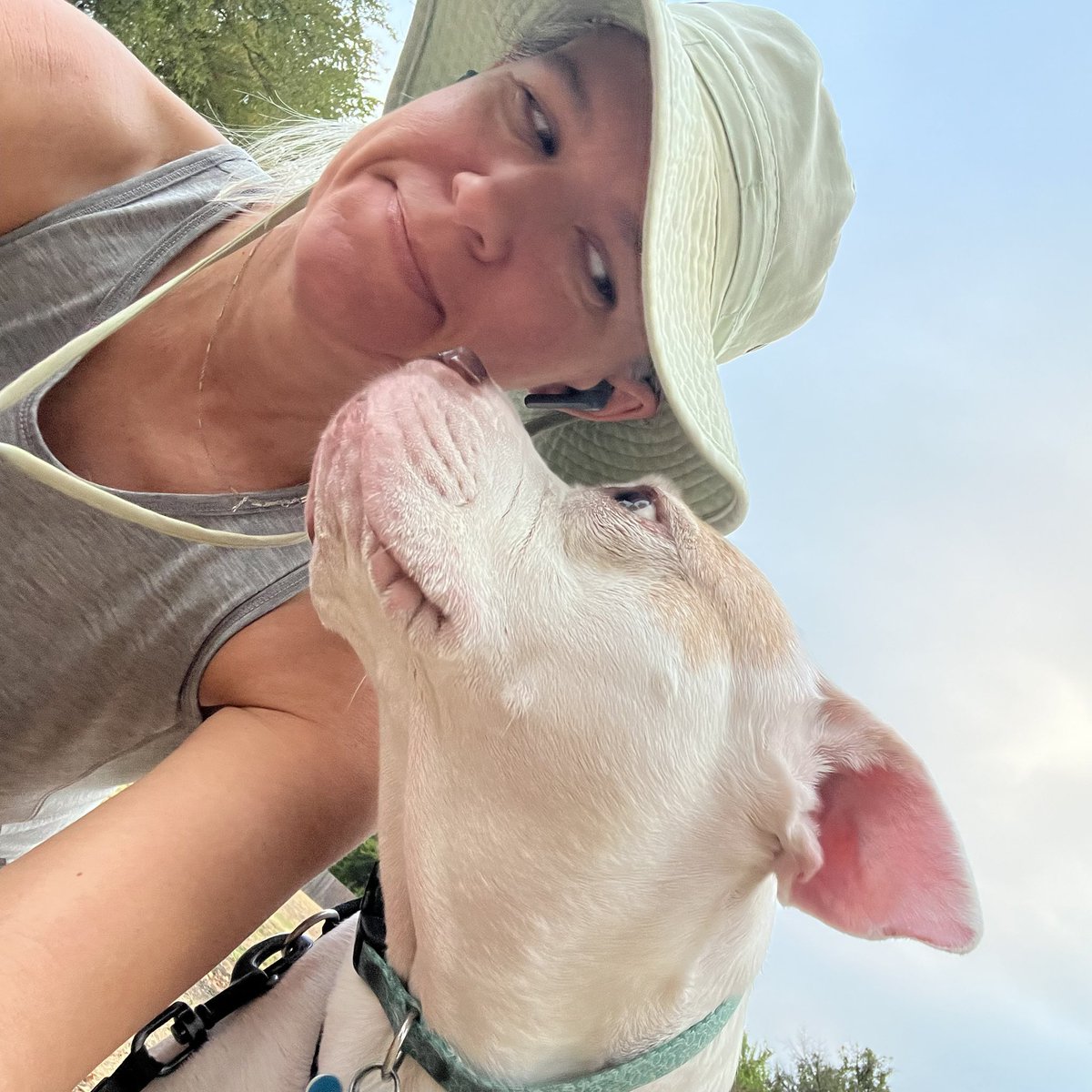 robynrdobbins's tweet photo. Miss thing here has been super jealous & apprehensive about the new puppy situation. She has slept in all week, but today, she was up and ready to walk. Glad to spend some one on one time with her so she knows she’s still loved. My best girl and walking buddy, #DaisyRaven https://t.co/x3uJwbZXUL