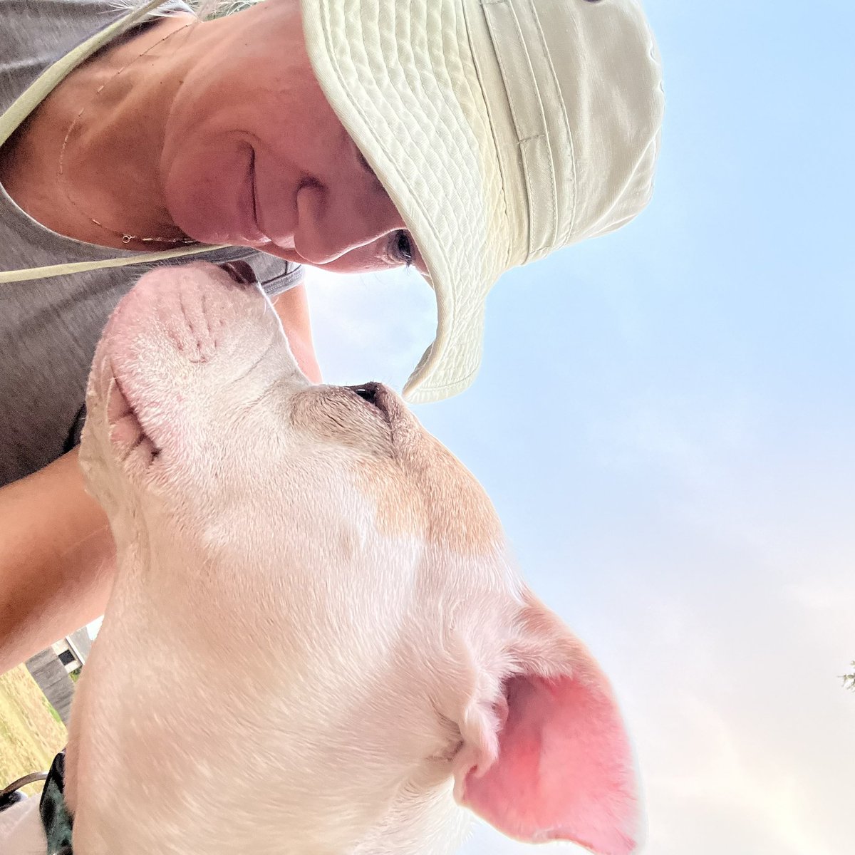 robynrdobbins's tweet photo. Miss thing here has been super jealous & apprehensive about the new puppy situation. She has slept in all week, but today, she was up and ready to walk. Glad to spend some one on one time with her so she knows she’s still loved. My best girl and walking buddy, #DaisyRaven https://t.co/x3uJwbZXUL