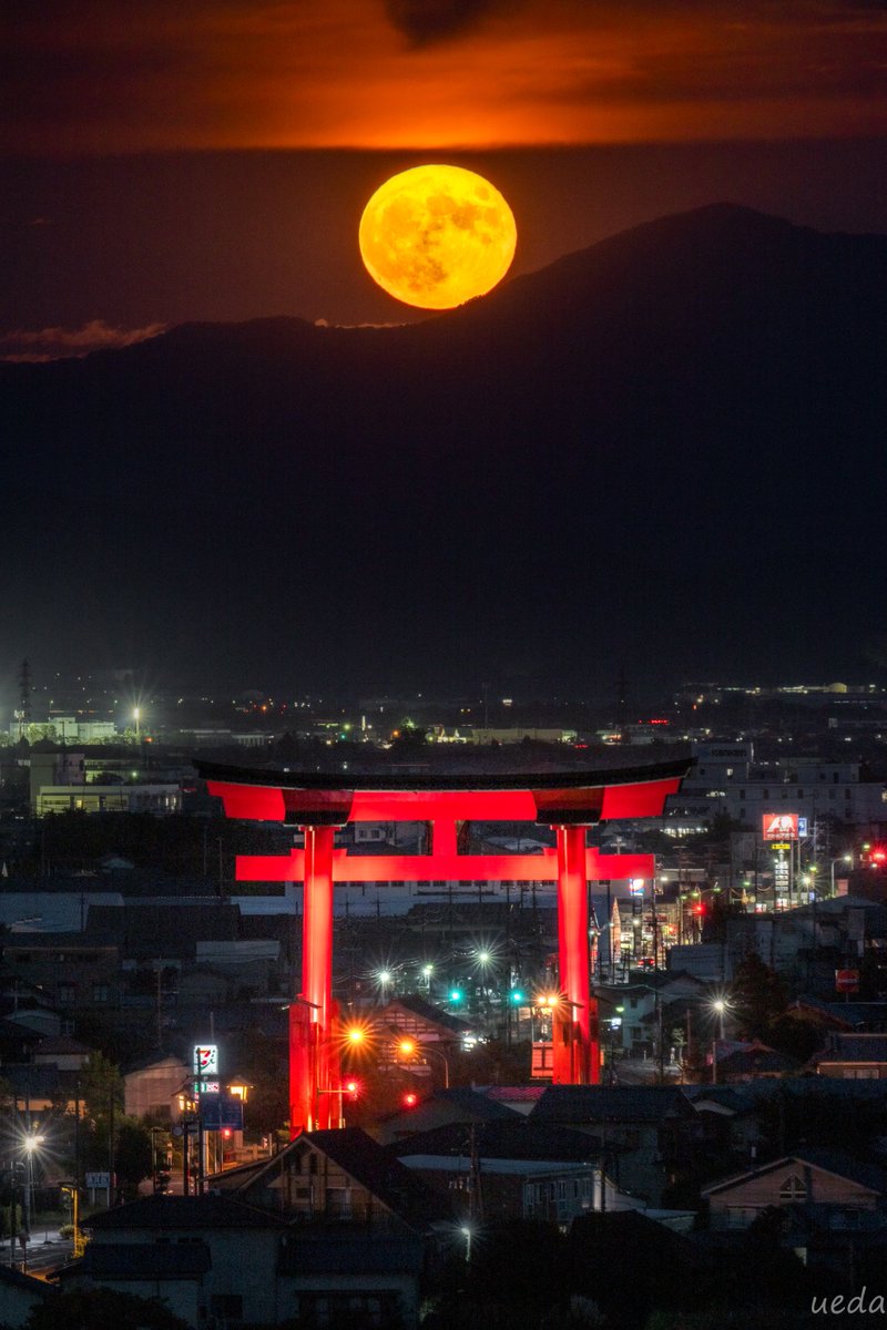 新潟県弥彦村で撮影した満月と大鳥居⛩️
撮影2023年8月📸
