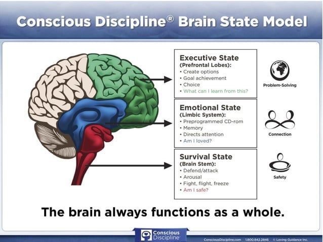If young people don't feel safe ,they won't learn. They can't learn. Their brains literally won't.🧠🌱