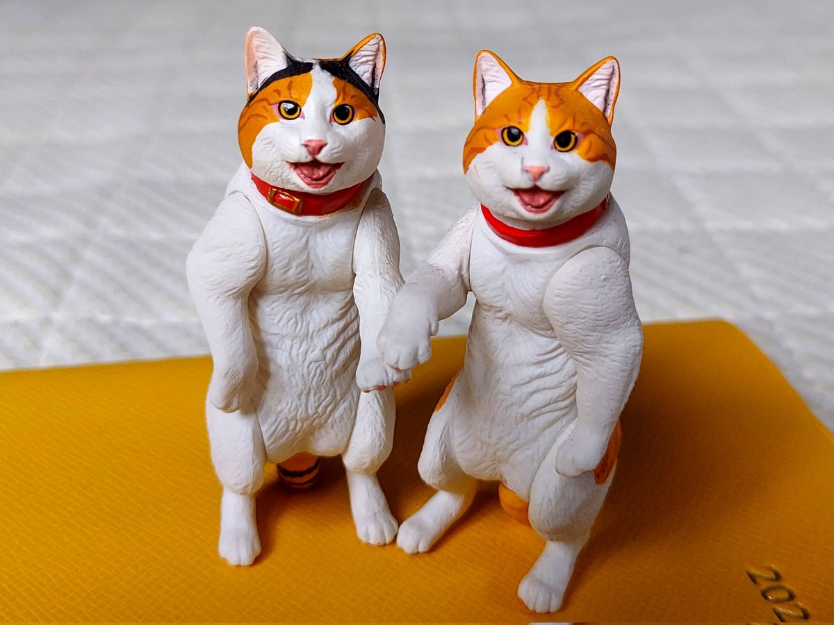 jun2119's tweet photo. ニャルス！

#天空の城ラピュタ
#バルス
#ニャルス
#猫フィギュア
#ニャンズライフ https://t.co/sNPmRF0Yuv