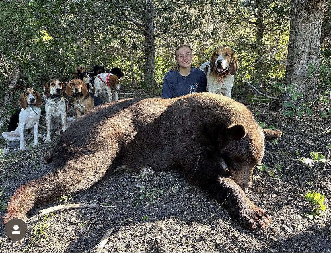 Xpose Trophy Hunting tweet media