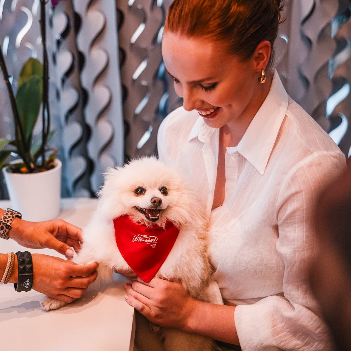 Because they deserve to rock out too! 🎸🐾 

Bring your furry friend to enjoy a stay filled with rock vibes. A place where music and pets come together! 🐶🤘

#hrhibiza #palladiumhotelgroup #hardrockhotels #unleashed #ibiza #petfriendly