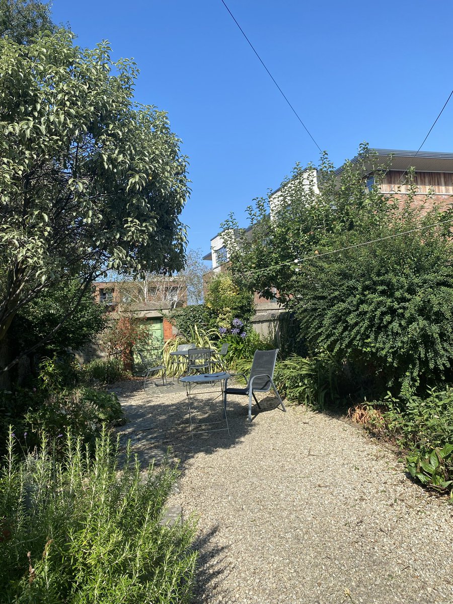 JillKerby's tweet image. What IS that brilliant orb in the sky? The temperature may only be 18C, but it is a glorious day in Dublin. Yes, it is still perpetual April, but today, in the nicest way! #Sunshine #BlueSky #CloudFree 🥳☘️🌸