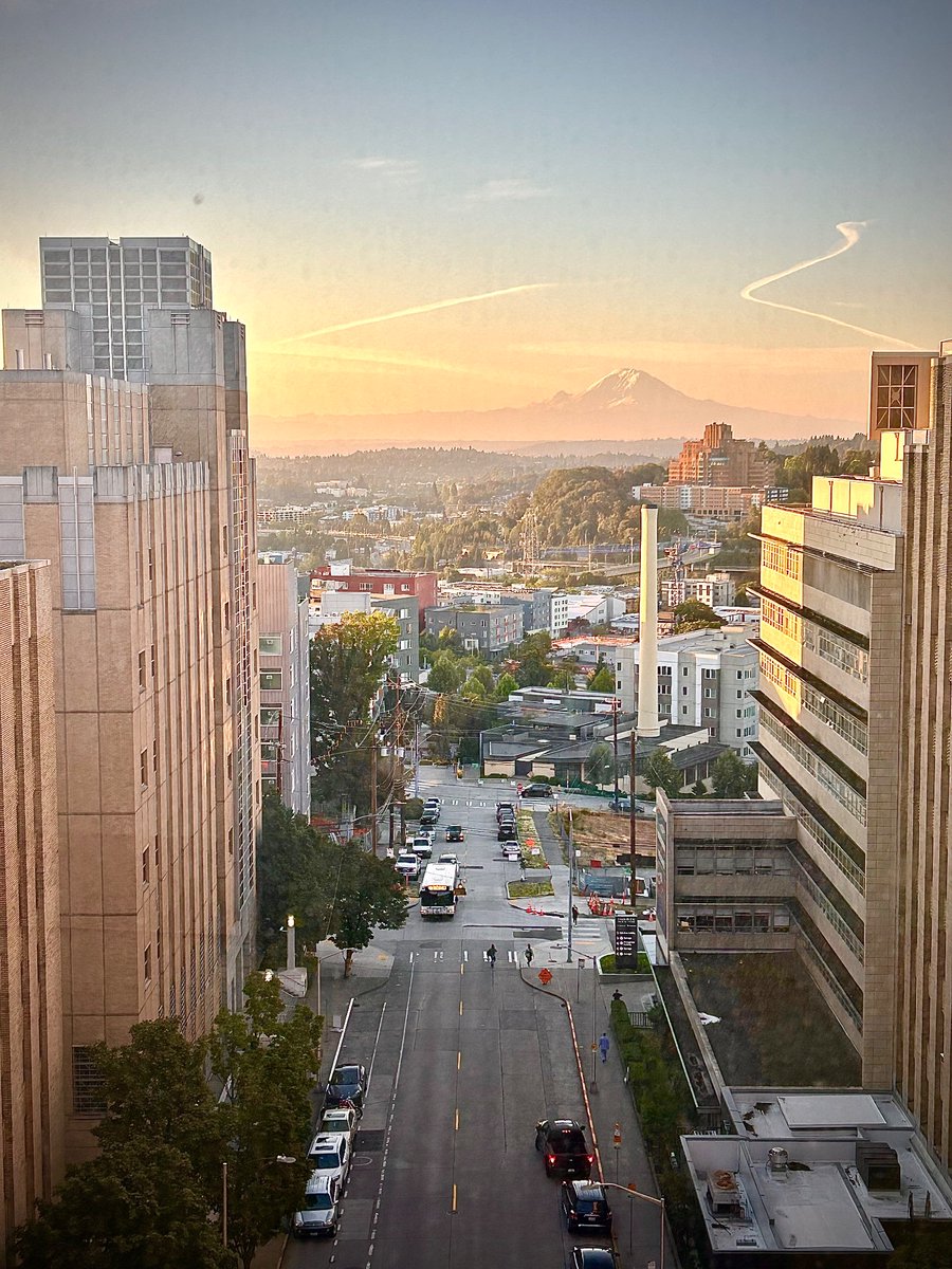 Alright Seattle, stop showing off. We know you’re gorgeous (and I’m a sucker for a good hospital sunrise) 🤩