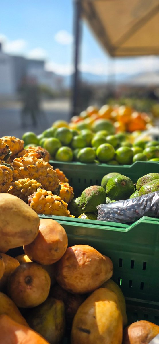 emisoraejercito's tweet photo. El @COL_EJERCITO apoya la economía @AgroComunal de nuestros campesinos, promoviendo que sus productos lleguen directamente, sin intermediarios. Los invitamos a disfrutar de estos alimentos frescos en el cantón militar de Puente Aranda. 
#ApoyemosLoNuestro  
#NuestroCompromisoEs🇨🇴 https://t.co/RTYVD1RwZq